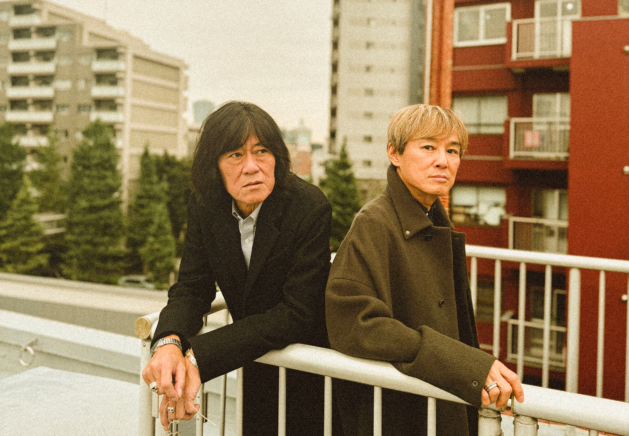 アナログ・モンキーズ、初のオリジナル曲のリリースが決定。 | THE